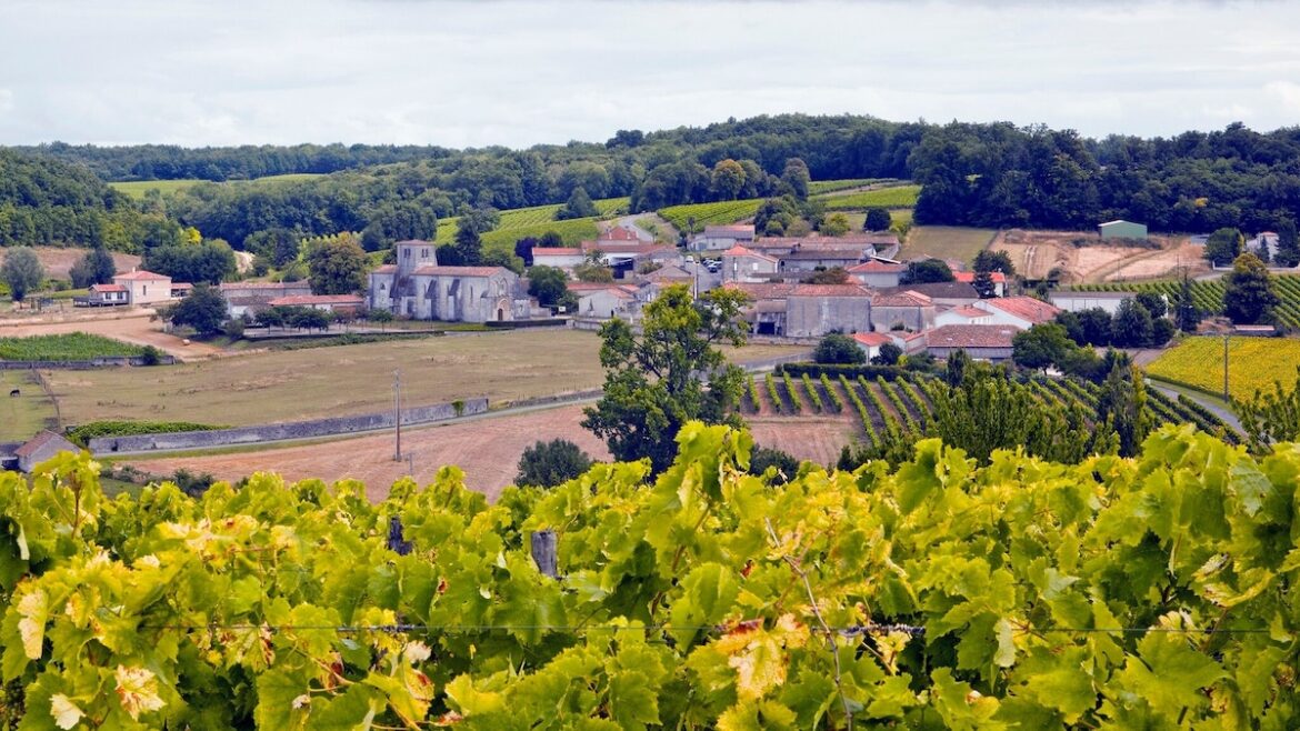 Five experiences for food lovers in Cognac, France Five experiences for food lovers in Cognac, France