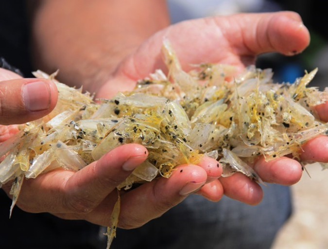 Article image for A holistic management approach to EMS