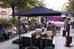 Layli Mediterranean Garden in Clarendon - Arlington, VA