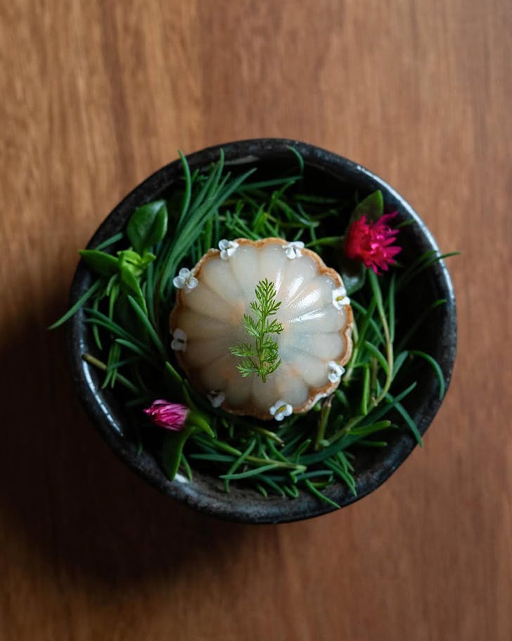 a plate in a degustation