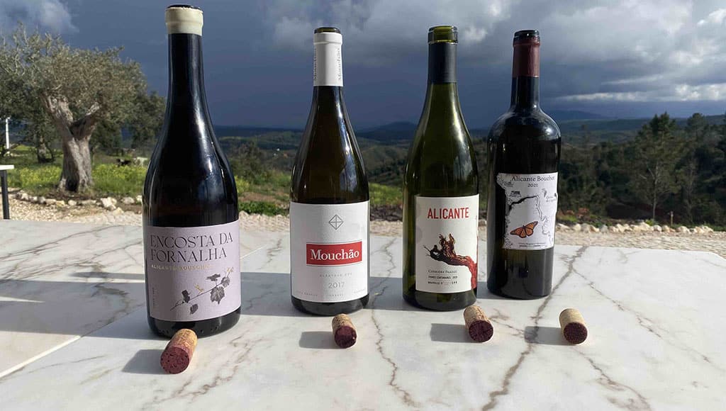 Bouschet-away: four wineries featured at our Alicante Bouschet Day (Nascedios from Odemira, Mouchão, Domaine de la Massole’s Alicante and Quinta da Cegonha in Odemira)