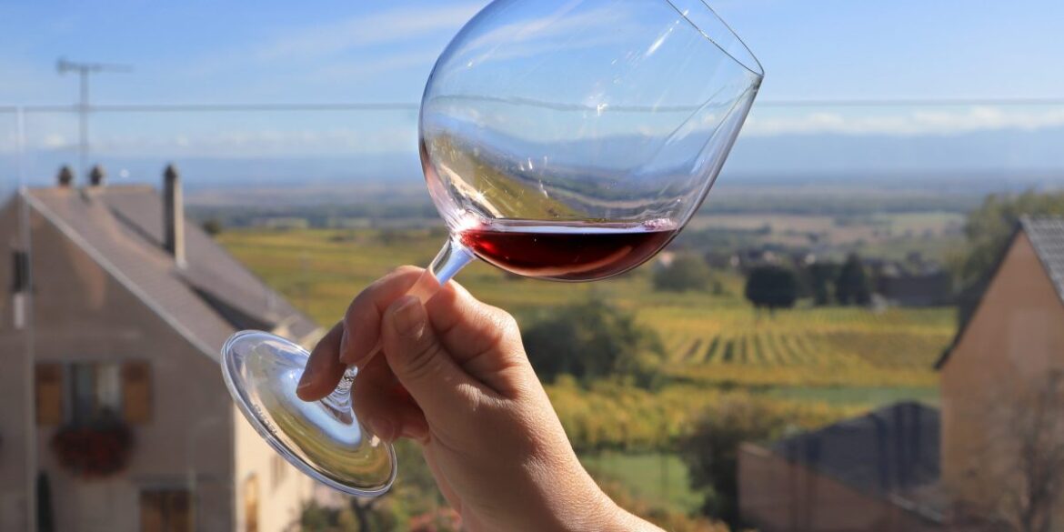 France 2024 wine production seen dropping 22% on bad weather