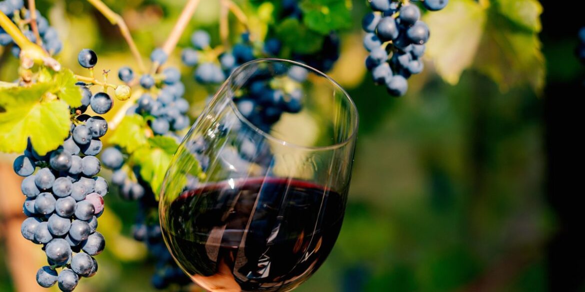 Tariffs or not, wine prices are set to spike considerably Tariffs or not, wine prices are set to spike considerably