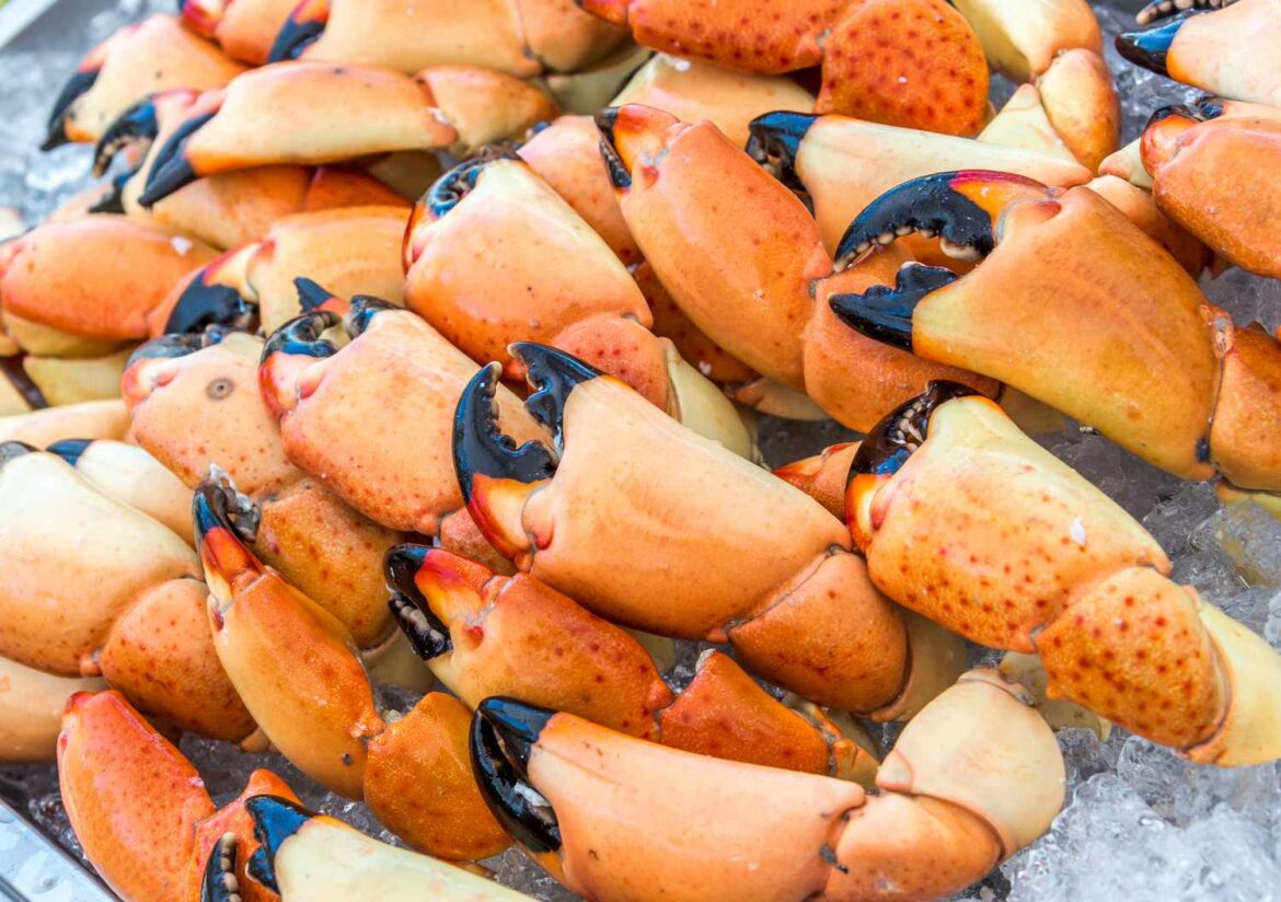6 Common Questions About Cooking Crab