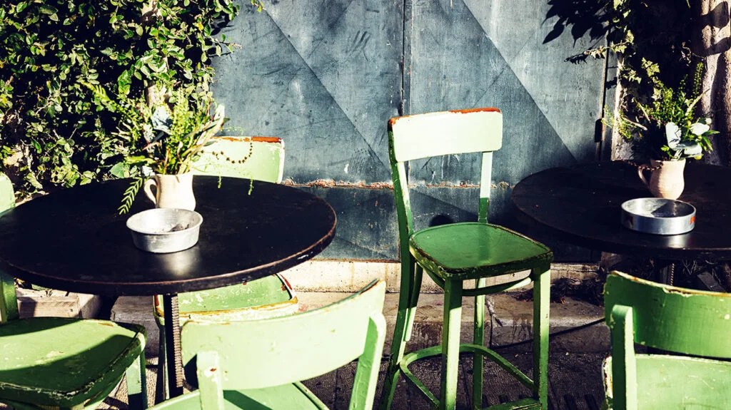 photo of green garden furniture and green plants