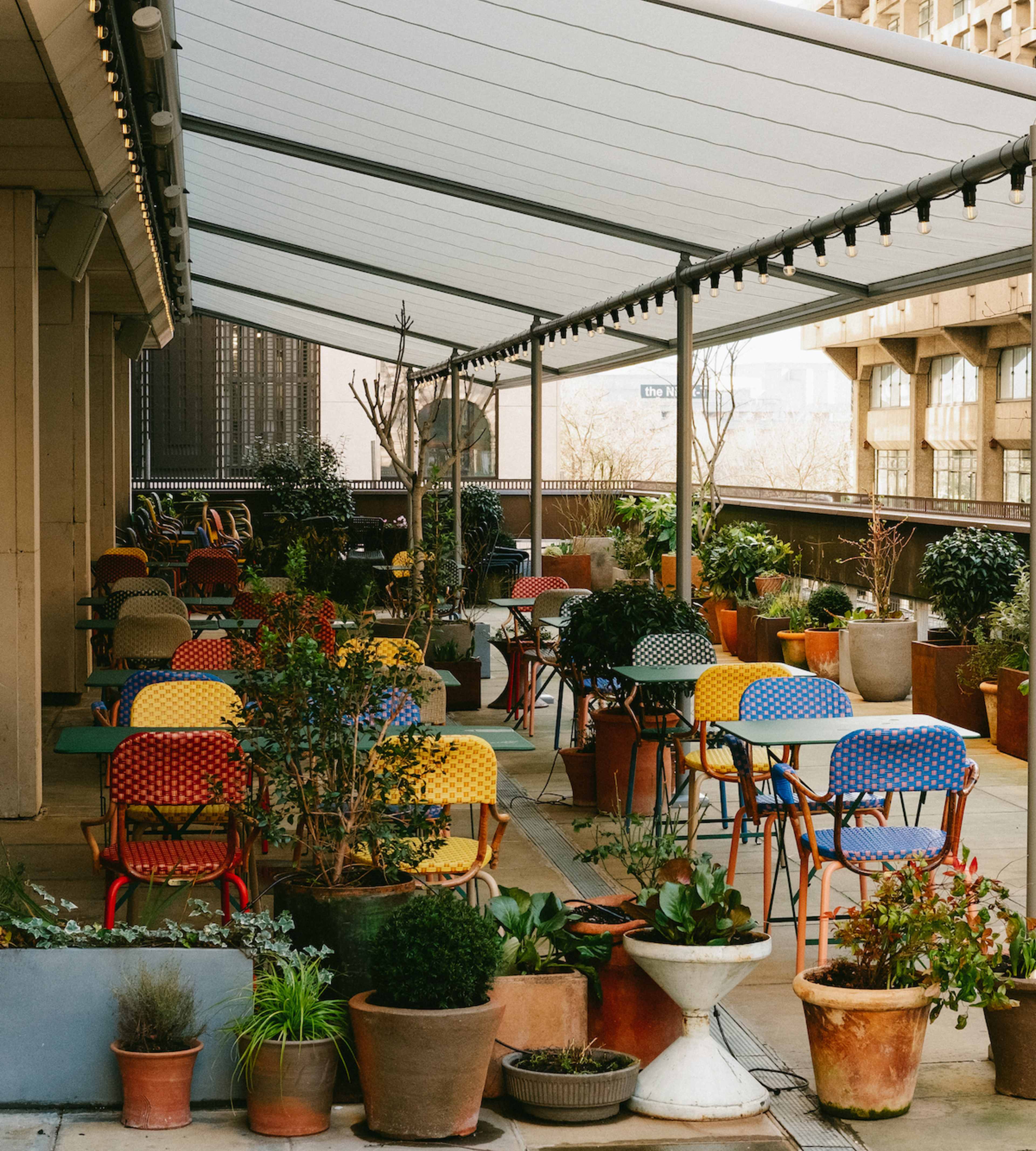 Toklas terrace