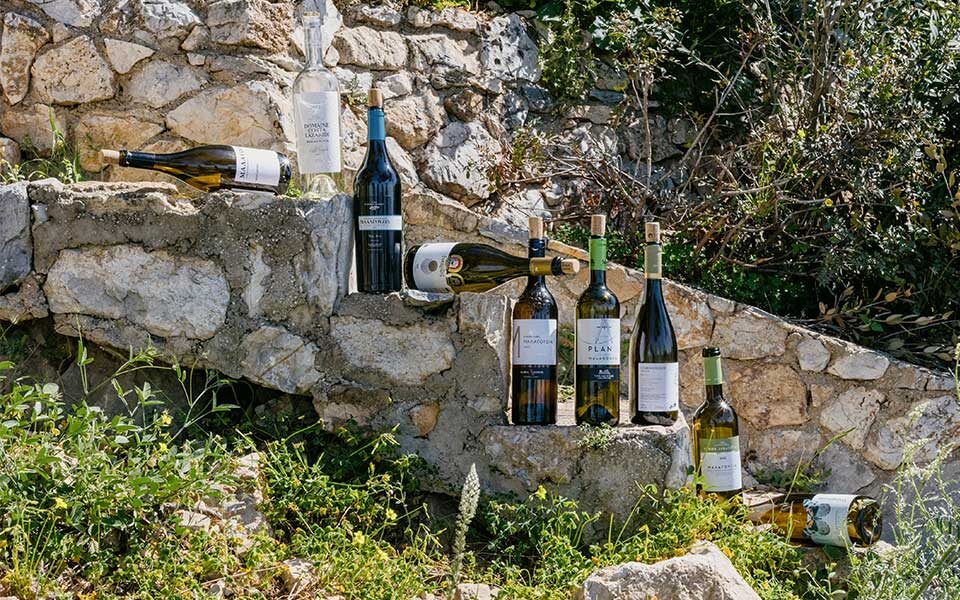 50 Great Greek Wines event makes a splash in London
