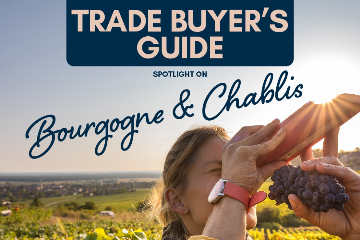 Trade Buyer’s Guide: Spotlight on Bourgogne & Chablis