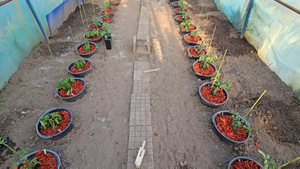 First time, wish me luck🤞