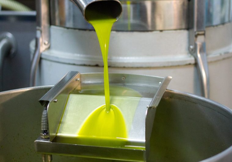 Fresh-pressed green virgin olive oil flowing from olive press spout.
