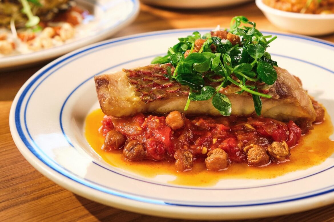 Chef Alon Shaya Opening All-Day Mediterranean Cafe in Lakeview Chef Alon Shaya Opening All-Day Mediterranean Cafe in Lakeview