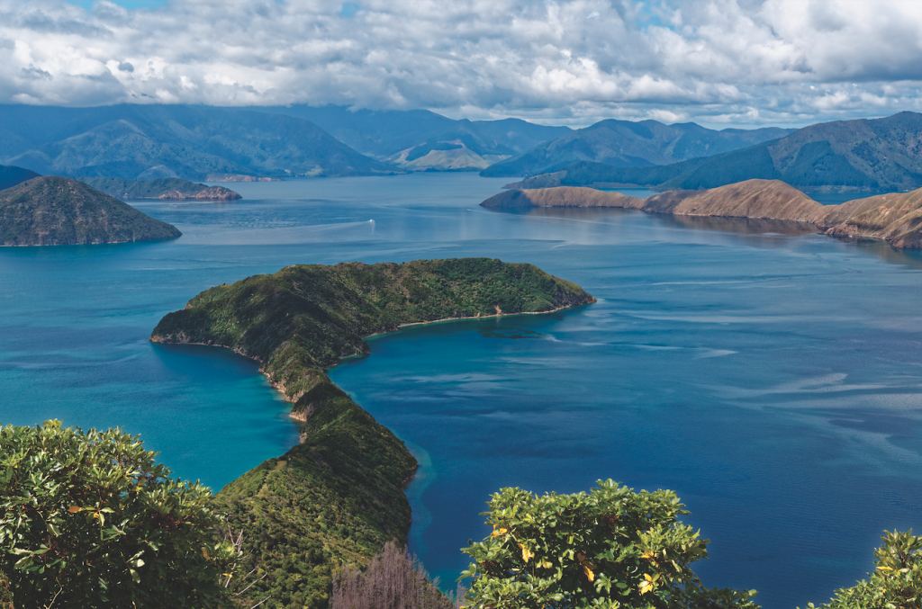 What’s the secret to New Zealand’s diverse Pinot Noirs? What's the secret to New Zealand's diverse Pinot Noirs?