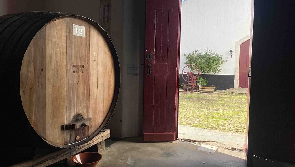 Time Tonel: The grapes are hand-picked, foot-trodden, hand-pressed and left to linger in the huge oak tonel barrels until the wine is ready to bottle