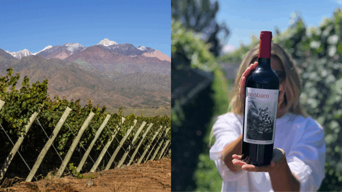 Win Dinner for Two at Fade Street Social with a Bottle of Ben Marco Plata plus a Case of Ben Marco Win Dinner for Two at Fade Street Social with a Bottle of Ben Marco Plata plus a Case of Ben Marco