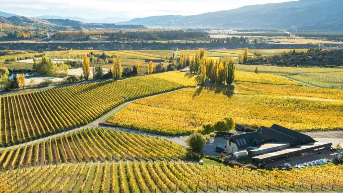 Weekend wine guide: Felton Road winemaker on the secret of its success