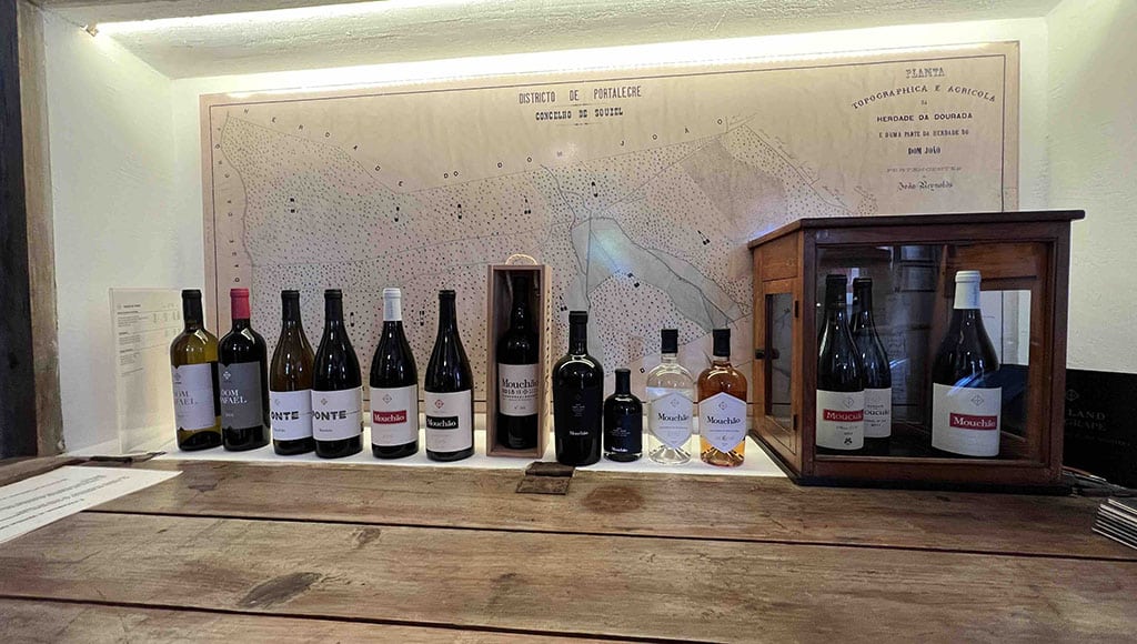 Mapped out: the range of Mouchão wines in front of an original estate map showing Alicante Bouschet grapes planted in the late 1800s