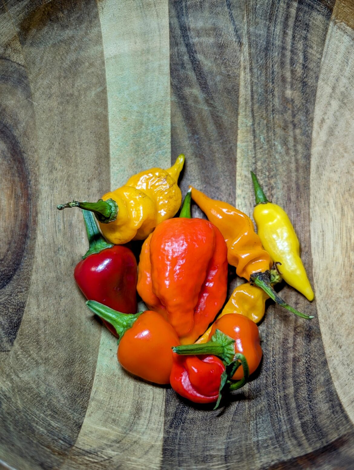 The warm weather hasn't gone just yet.