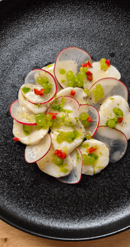 Scallop ceviche