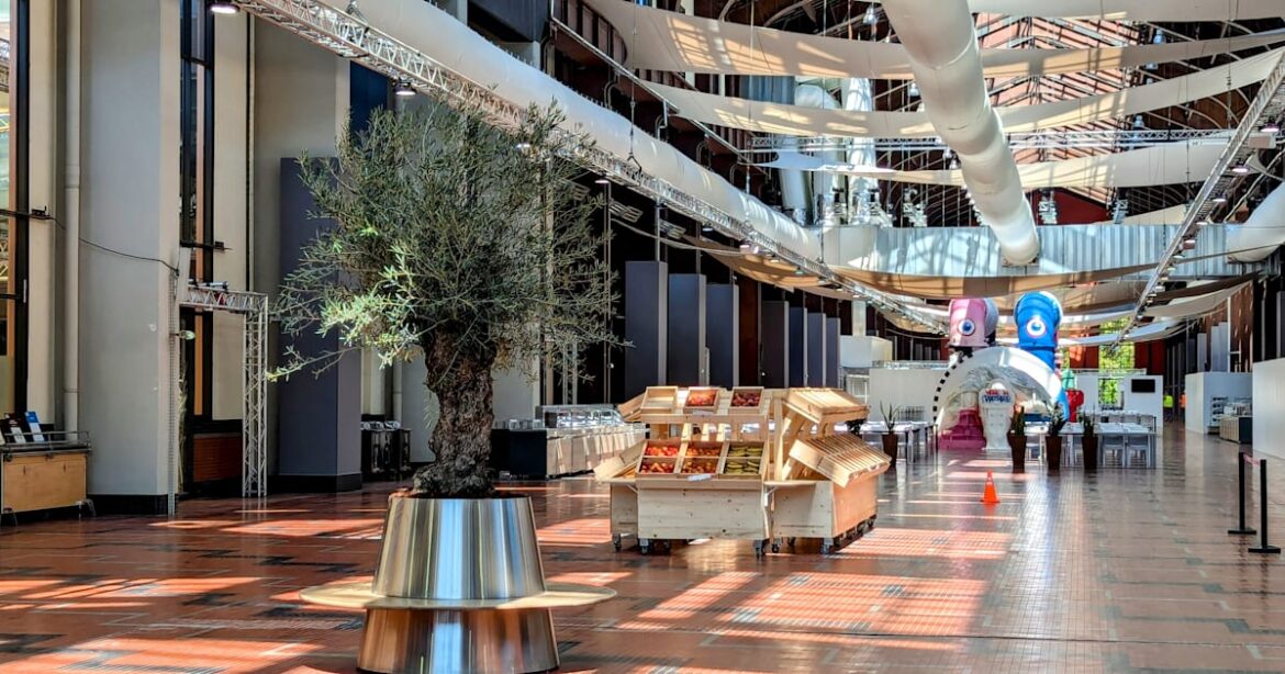 Inside the Paris 2024 Olympic and Paralympic Village restaurant