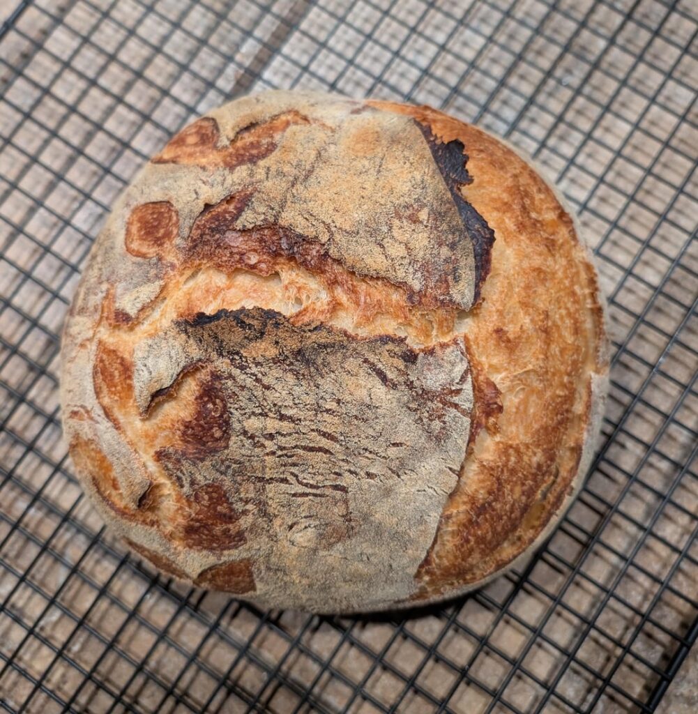 First ever loaf after getting my first starter going (finally!). How did I do? First ever loaf after getting my first starter going (finally!). How did I do?