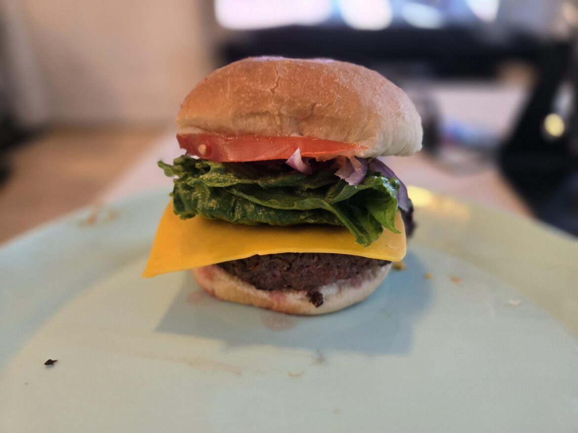 My homemade cheeseburger