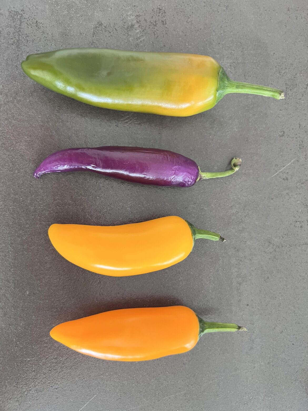what can kind of chili peppers are these? thanks!
