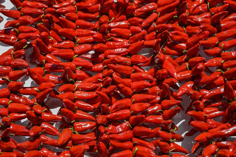 A large collection of red chili peppers scattered across a surface