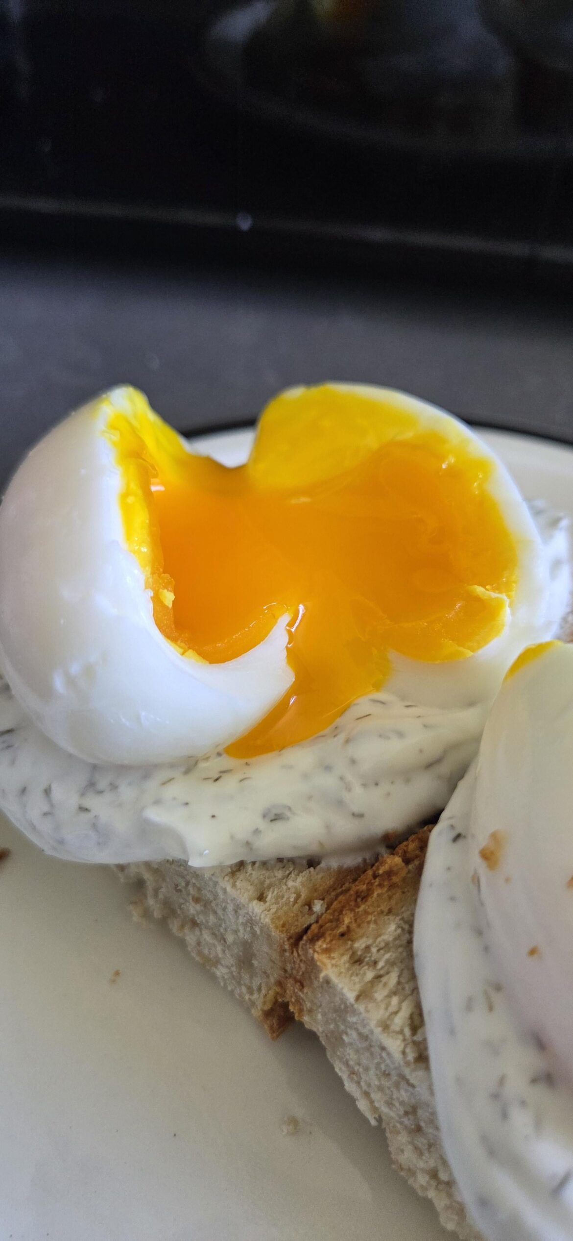 Homemade oatmeal bread with soft-boiled eggs over a lemon dill Greek yogurt sauce 🤌