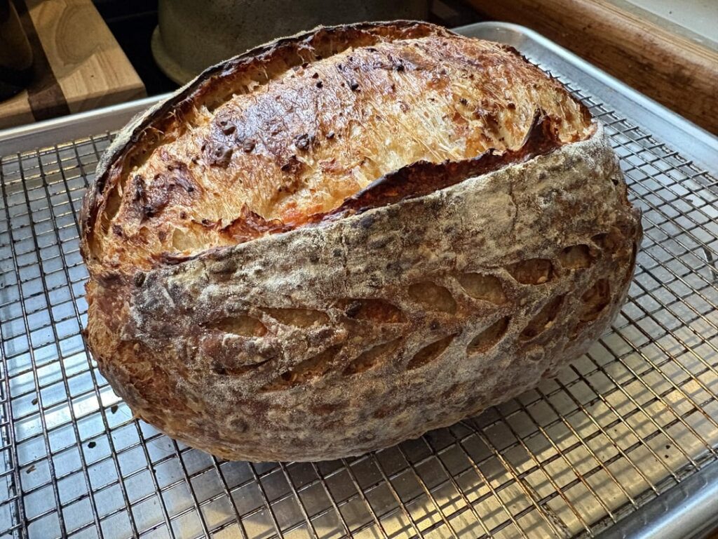 Sharp cheddar and everything seasoning loaf