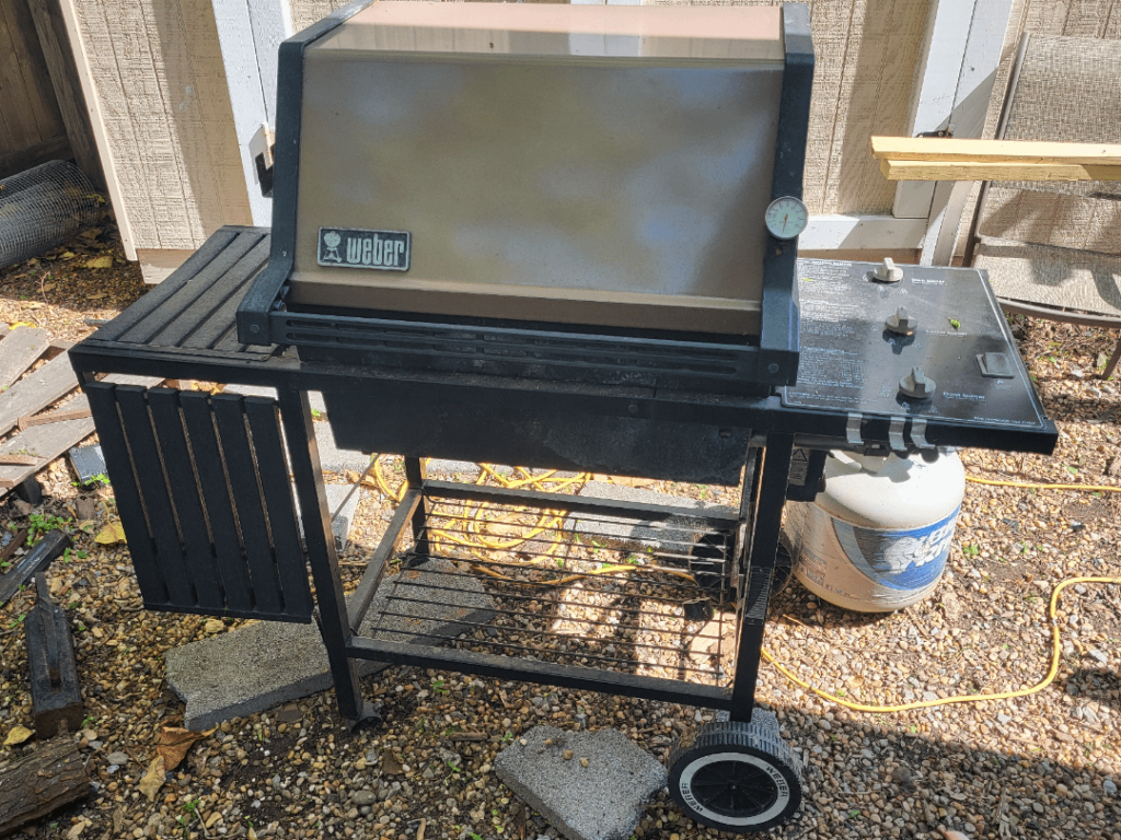 Saved from the Roadside, Worth Cleaning Up/Repairing?