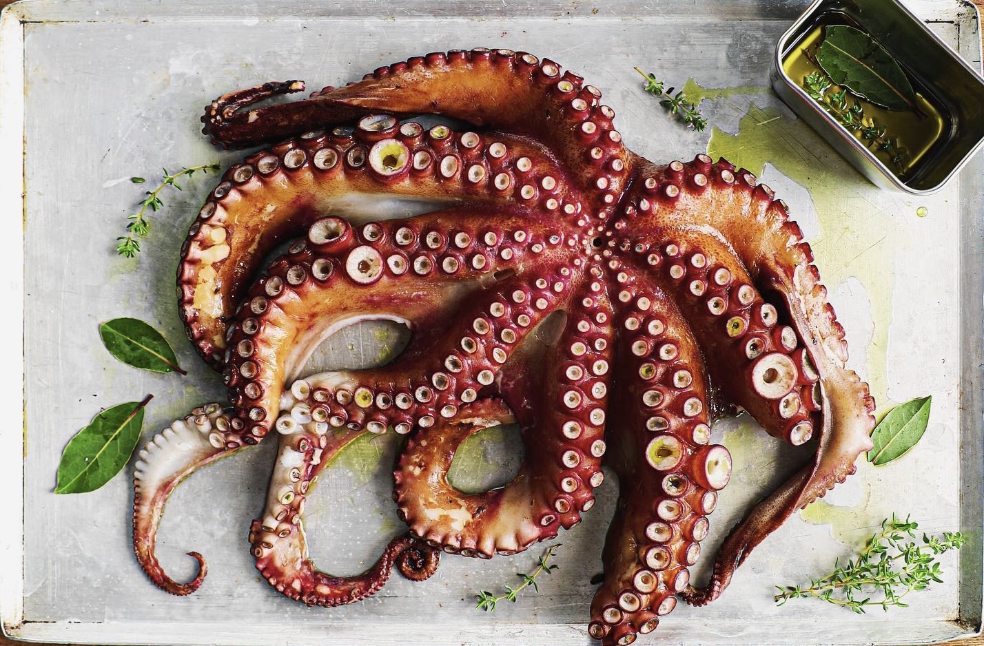 Fresh squid plucked from the sea at Alivetu restaurant in Marseille. © Agence Yolk