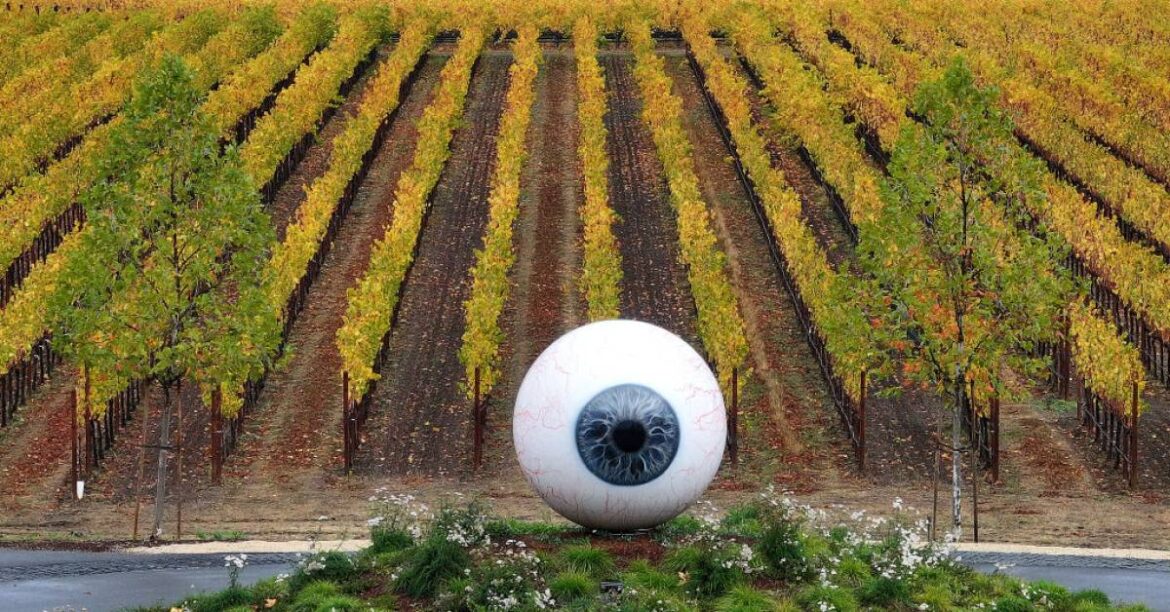 California Wineries Slammed By Tariffs, High Costs