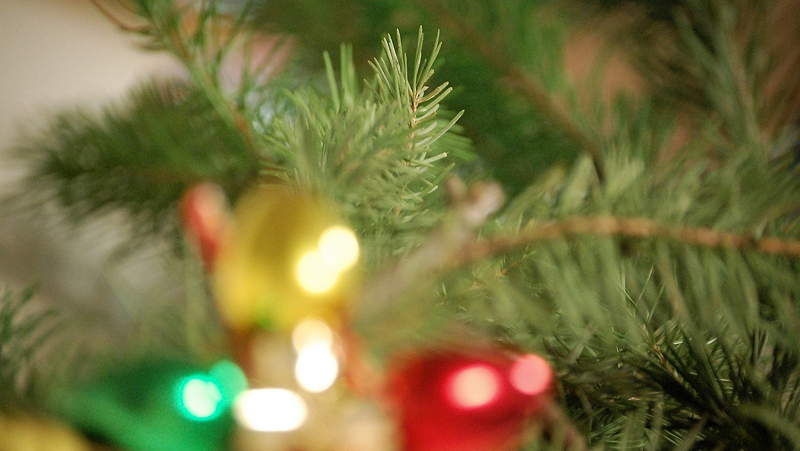 A closeup of evergreen tree boughs with Christmas tree ornaments