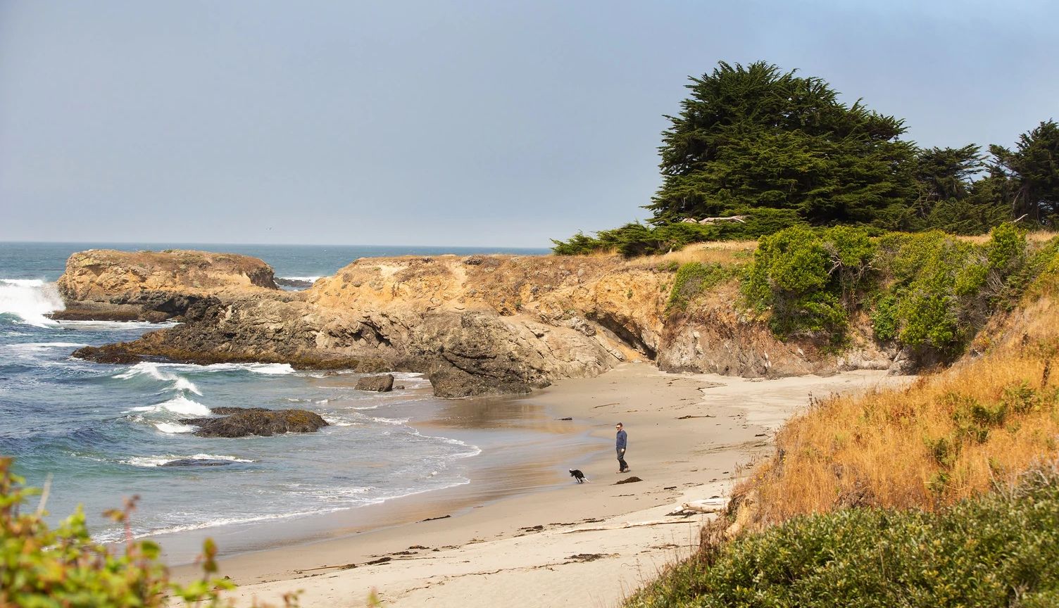 The Sea Ranch Coastal access trail