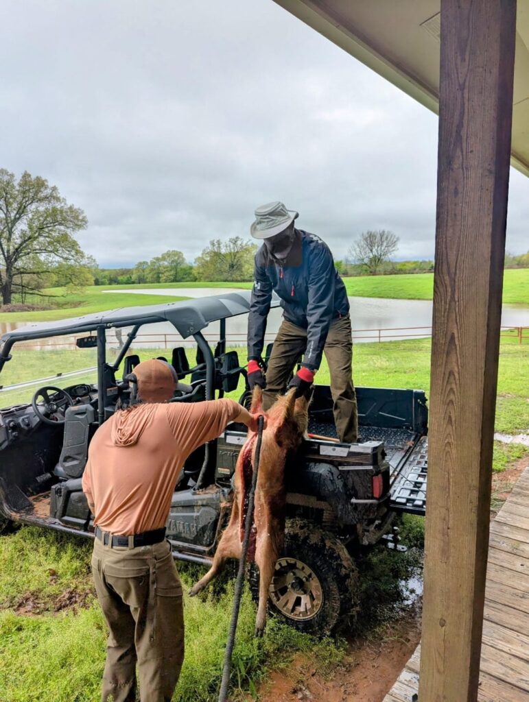Wild Pig on the Traeger