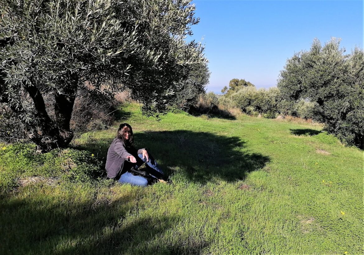 Potential Drops in Prices with Improved Production