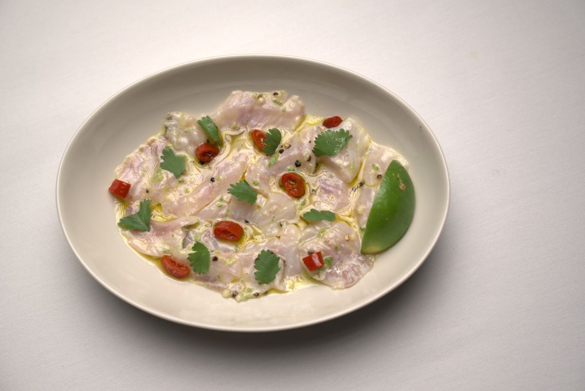 Crudo