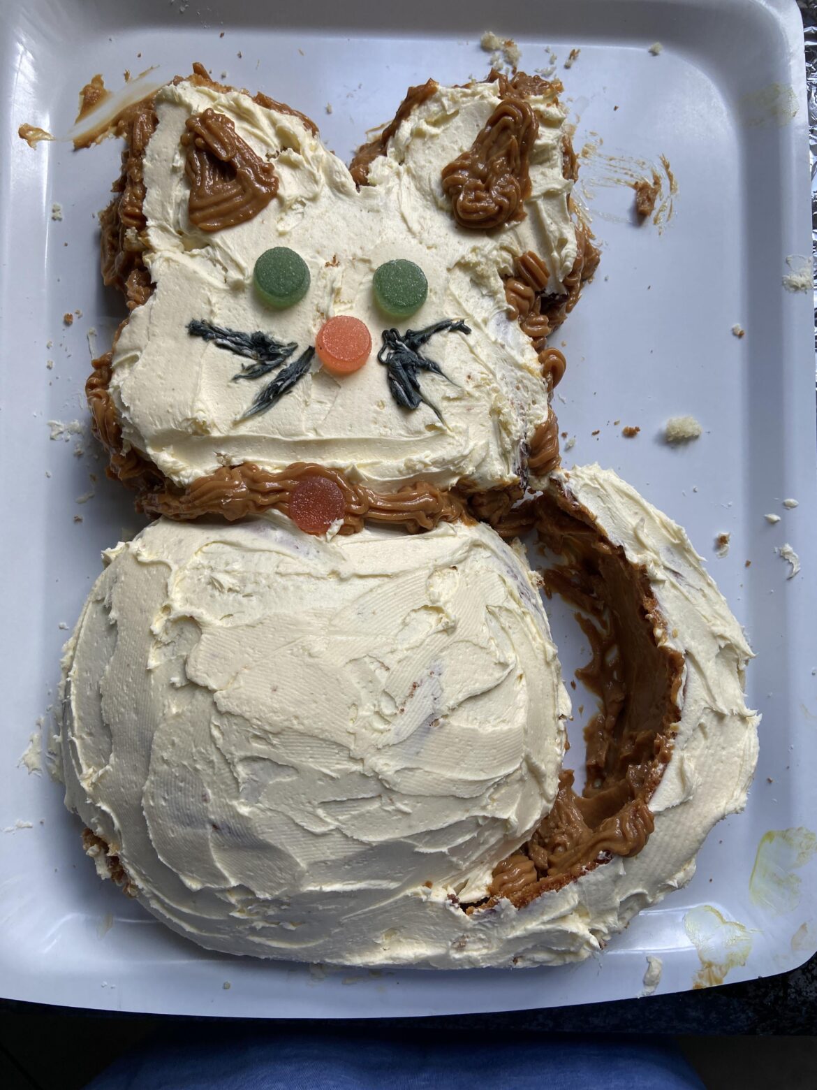 My Mom (not a baker) made me this cat cake for my 36th birthday