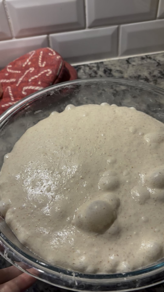 Novice baker: is this over-fermented? Novice baker: is this over-fermented?