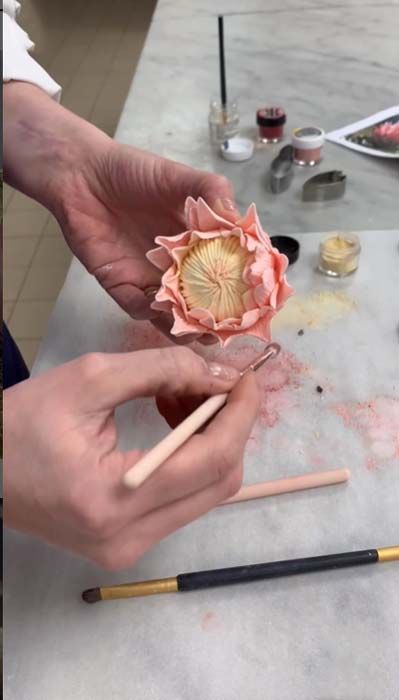 edible flower painting