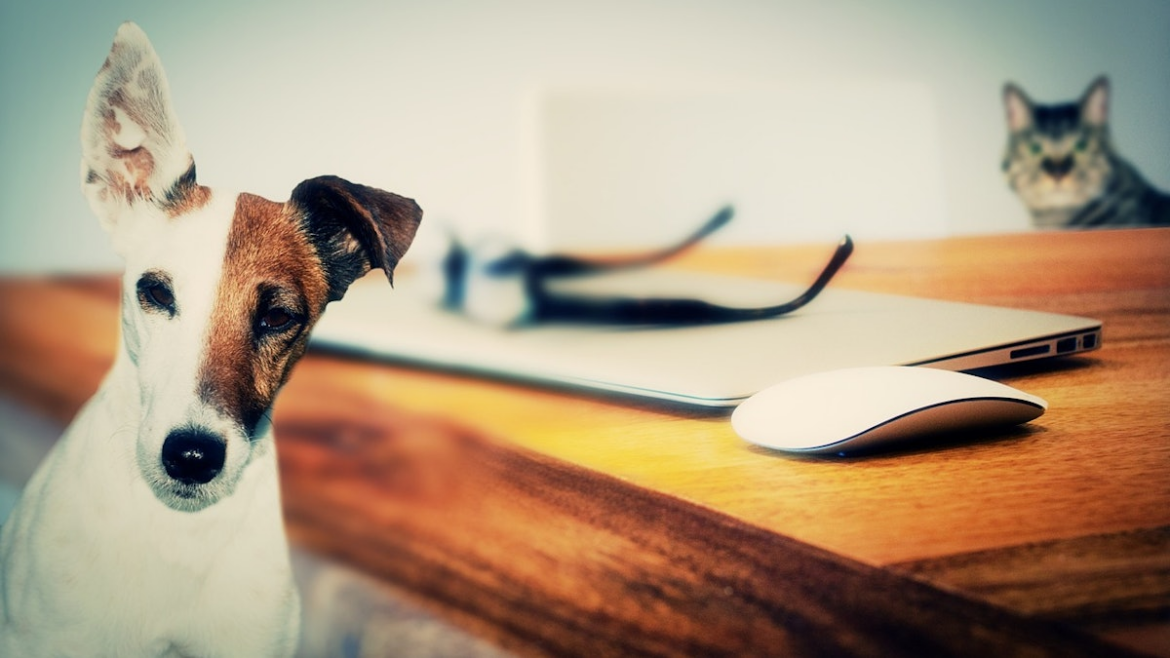 Mars invests $140 million to increase production in France