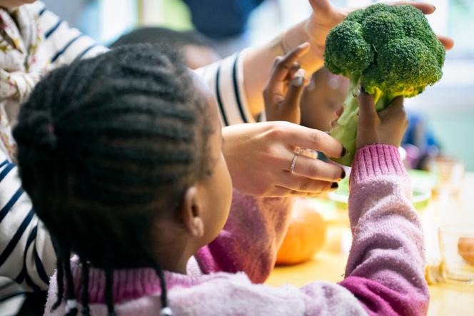 During an introductory workshop on seasonal vegetables at a Poitiers nursery school, October 18, 2024.