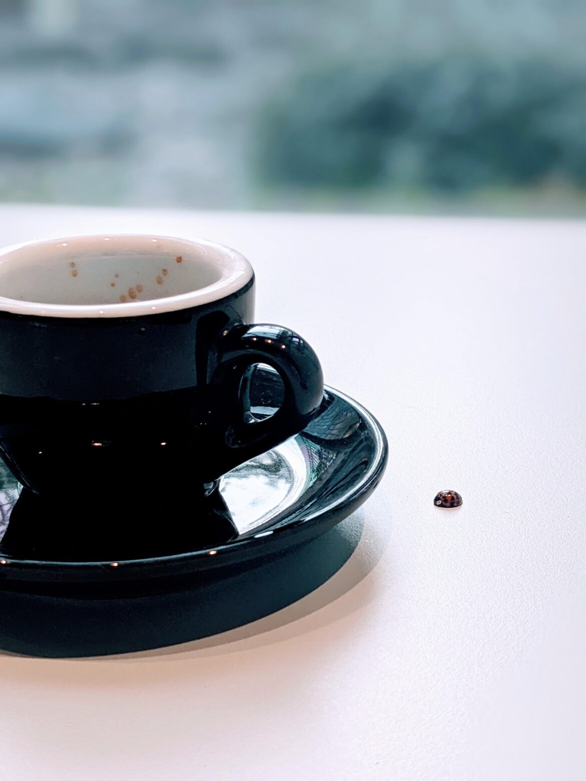 A little friend kept me company while sipping my espresso in Prague