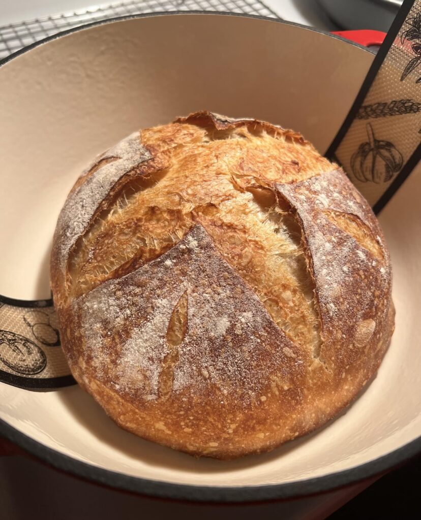 My first attempt! What do you think?