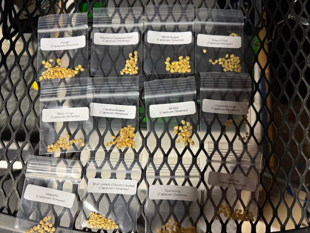 Update: In too deep now