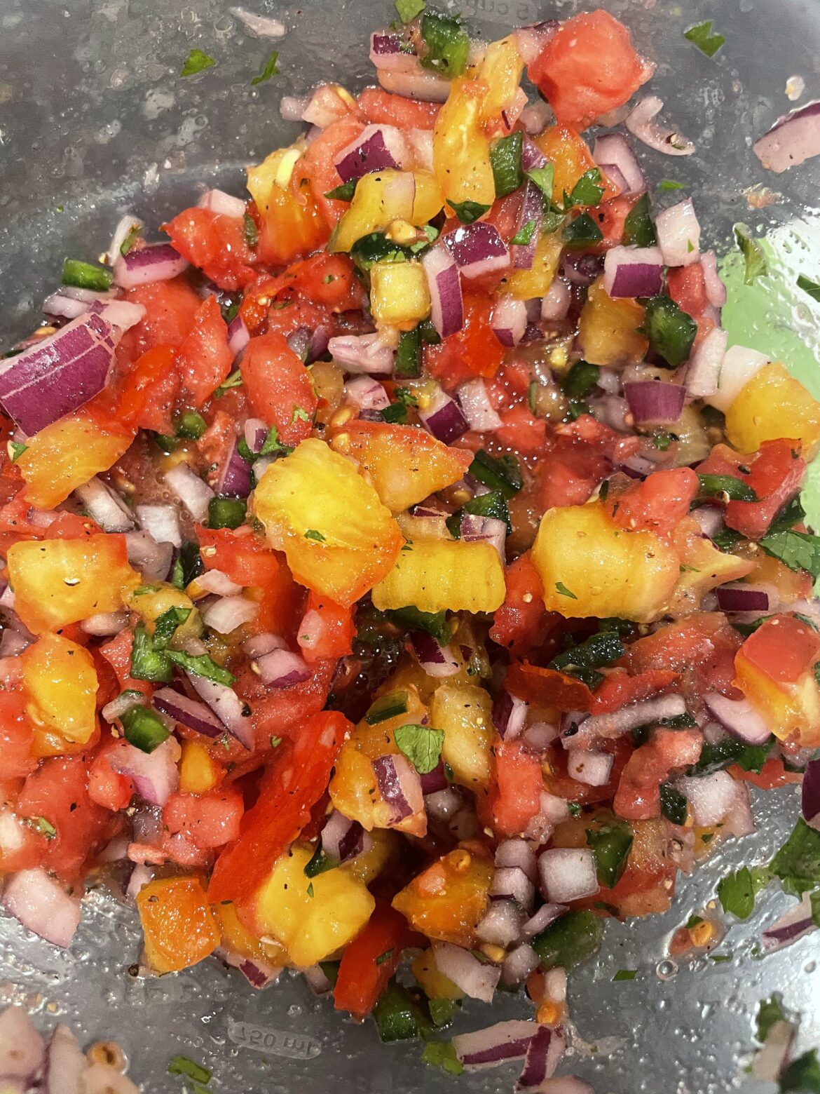 Salsa made from my homegrown tomatoes and cilantro! So dang amazing