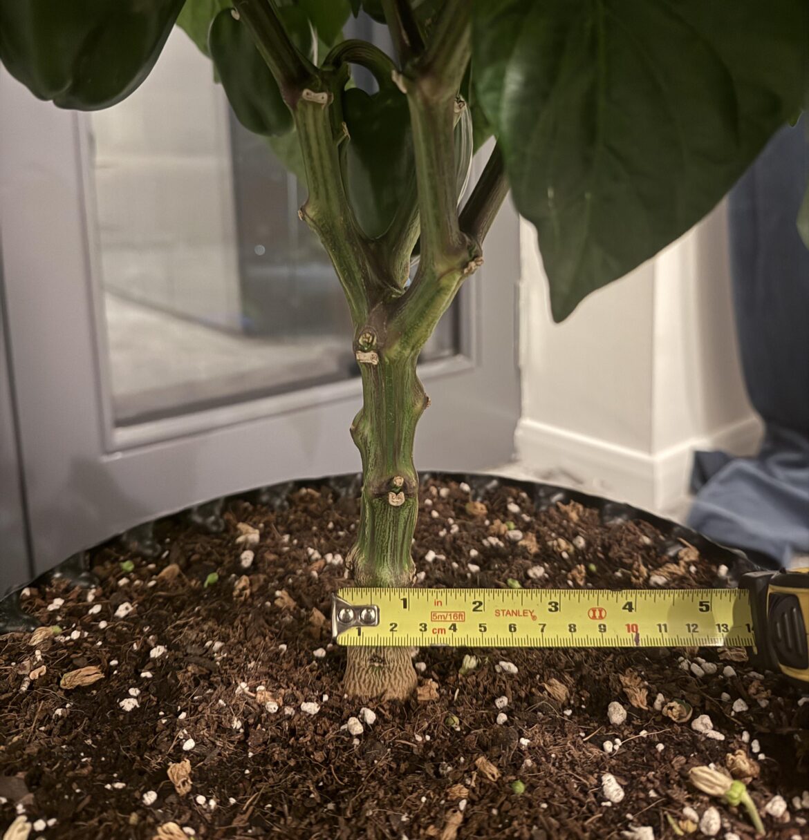 Can’t get over how this was a seed less than 3 months ago