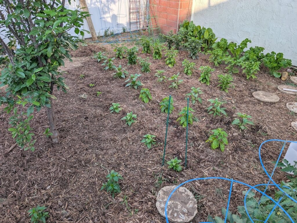 Hope the hard work pays off