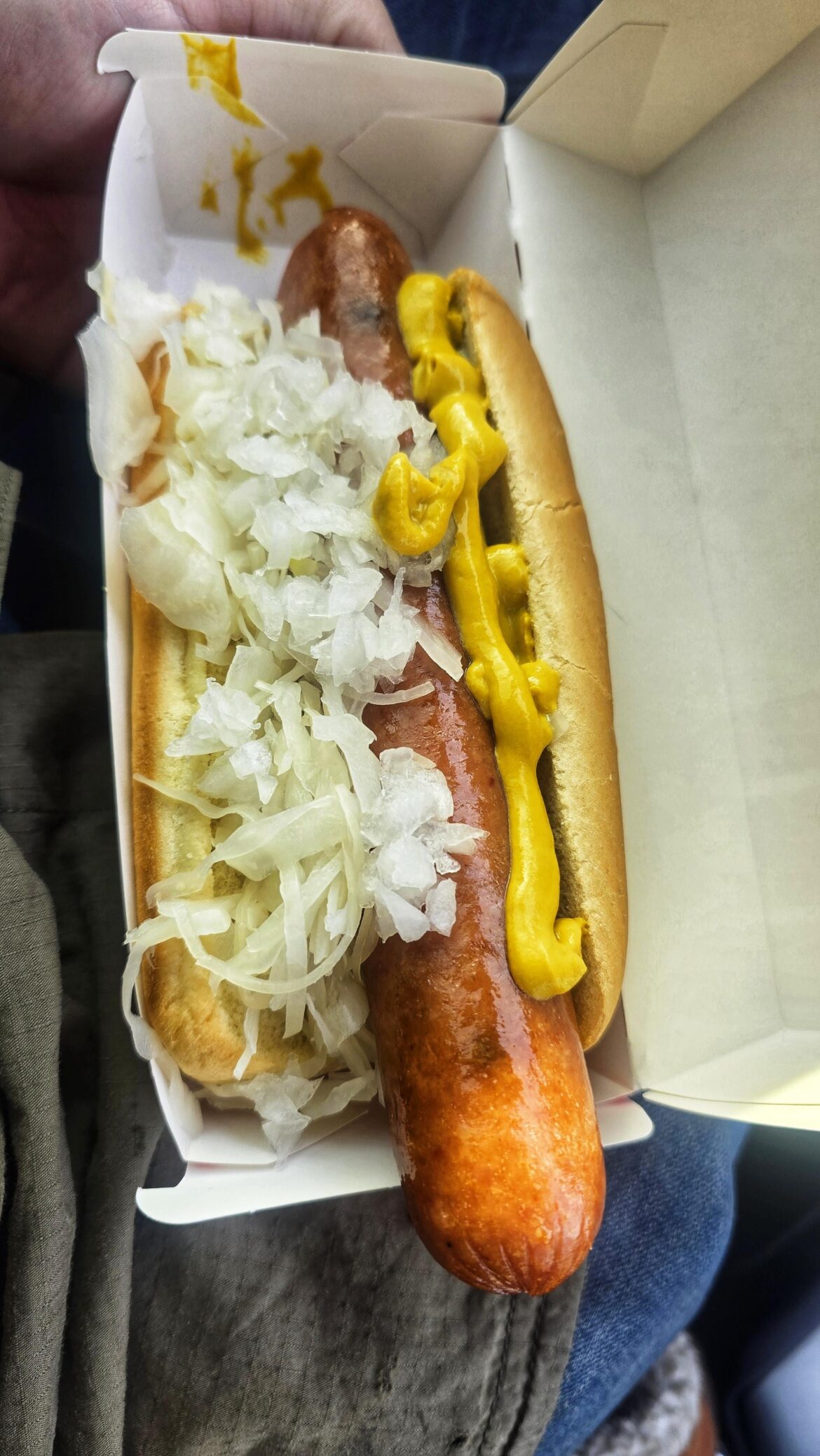 Another redditors onion loving hotdog