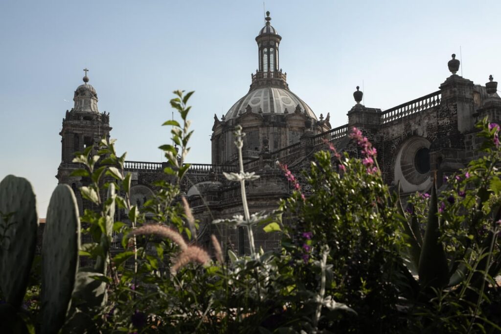 Charco - Mexico City (Centro Histórico) -  (April, 2025)